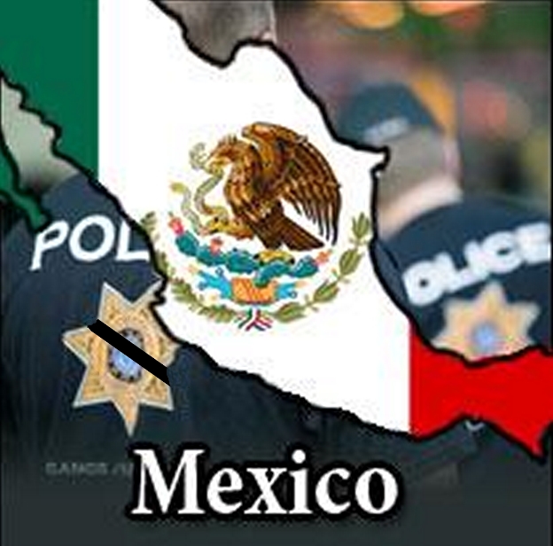 Street Gangs to Replace Cartels as Drivers of Mexico's Violence ...
